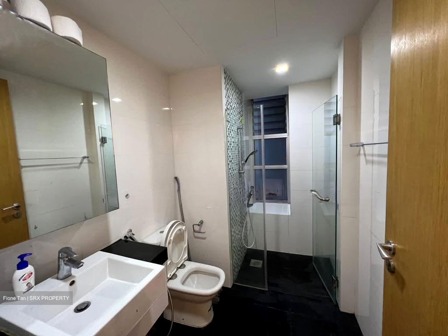 Oasis @ Elias (D18), Condominium #618953151